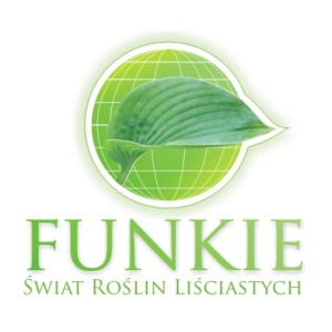 kw brak zdjecia4